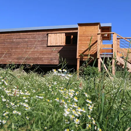 Ferme De Pitoue Campbon